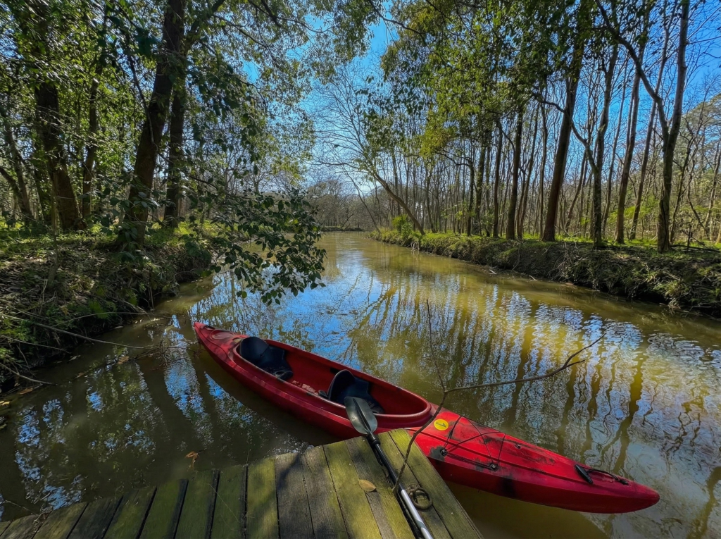gemini generated image nvfmsgnvfmsgnvfm 已编辑